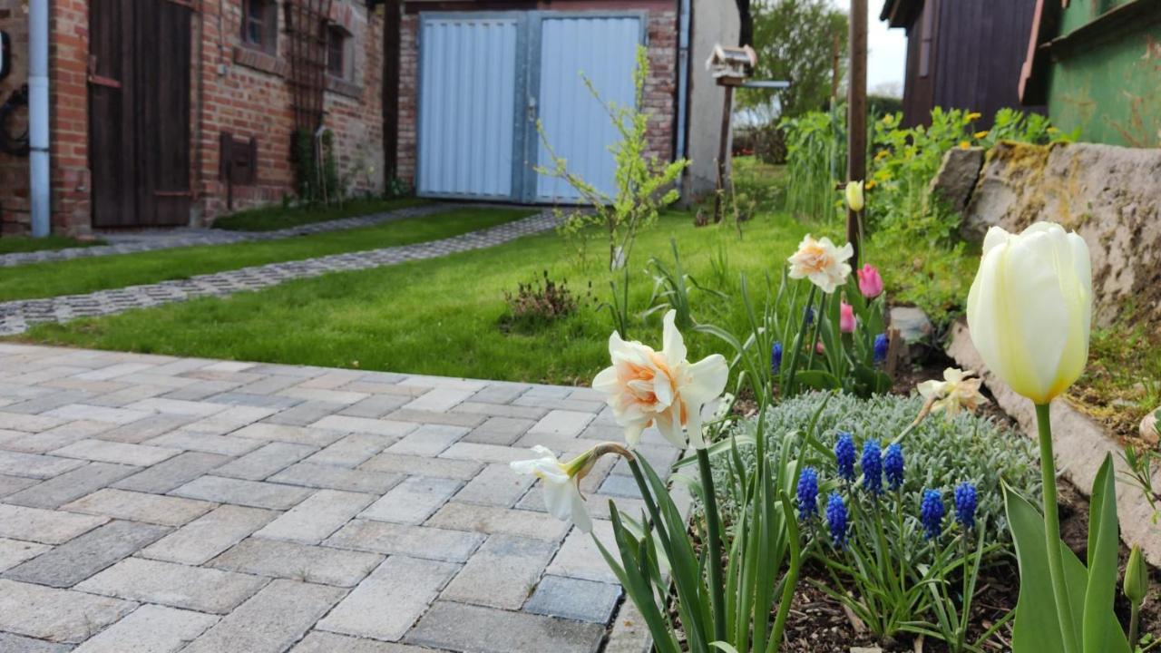 Ferienhaus Blaue Blume Mit 11 Kw Ladestation, Kamin, Terrasse, Eingezaeuntem Garten, Sauna, Wlan, Netflix, 2 Hunde Willkommen! Güntersberge Exterior foto