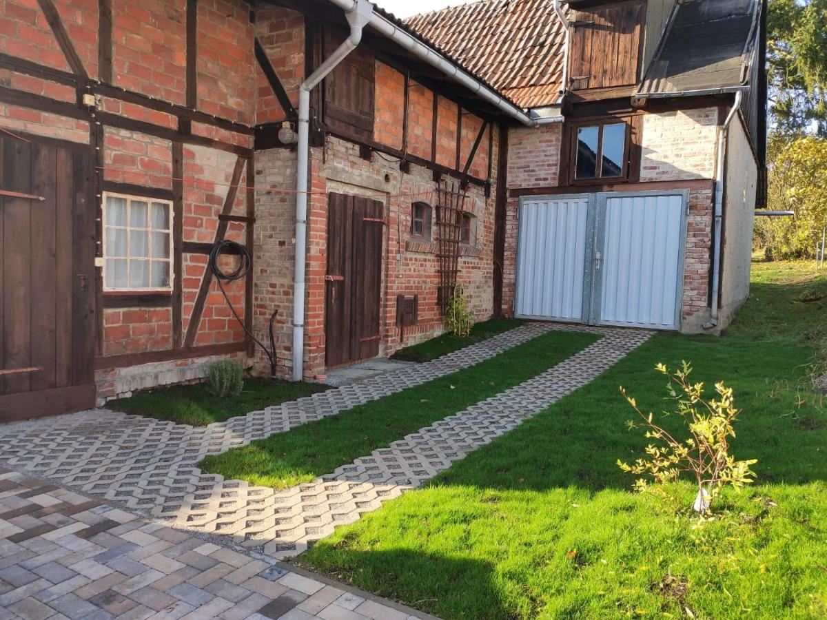 Ferienhaus Blaue Blume Mit 11 Kw Ladestation, Kamin, Terrasse, Eingezaeuntem Garten, Sauna, Wlan, Netflix, 2 Hunde Willkommen! Güntersberge Exterior foto
