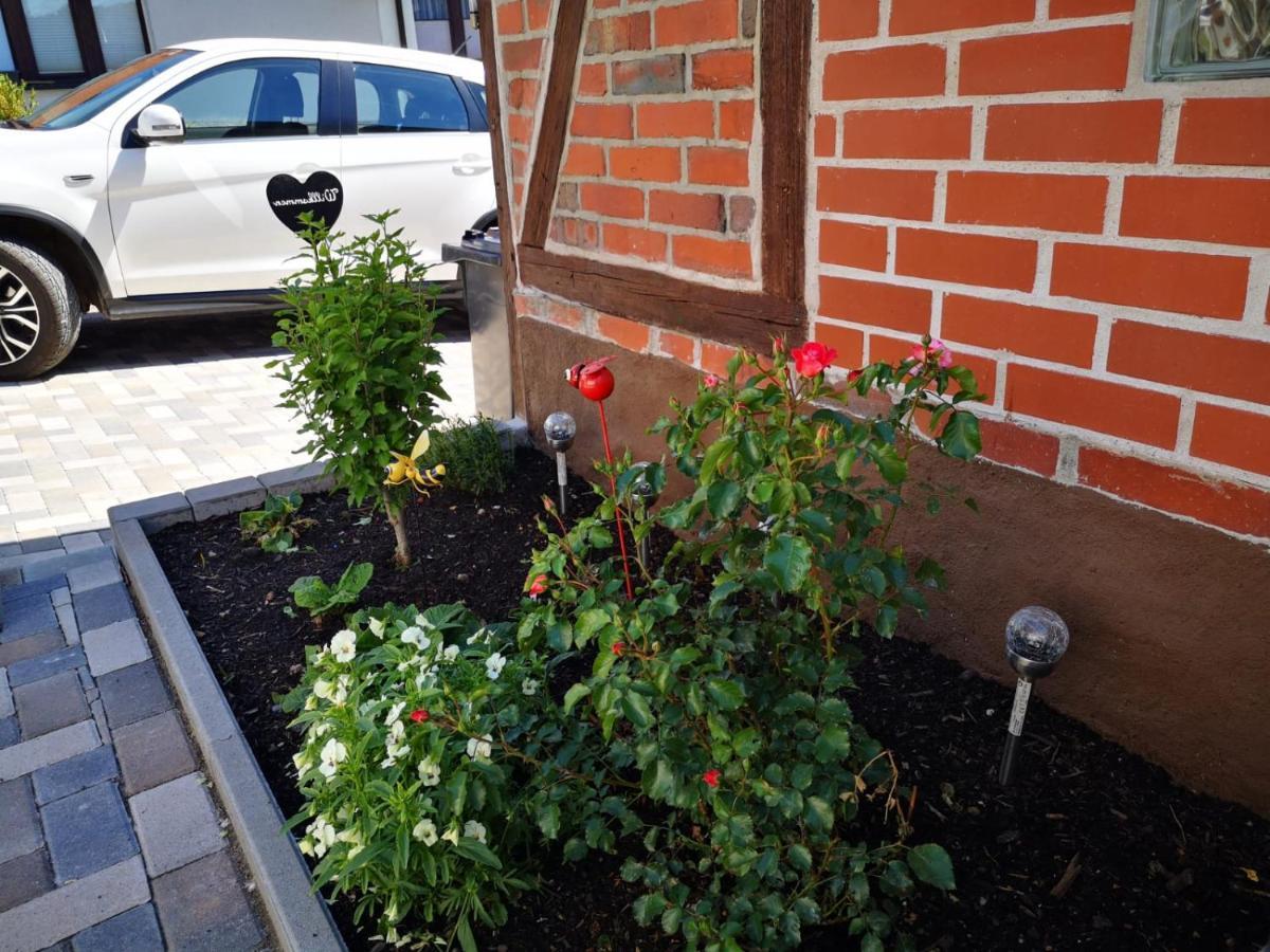 Ferienhaus Blaue Blume Mit 11 Kw Ladestation, Kamin, Terrasse, Eingezaeuntem Garten, Sauna, Wlan, Netflix, 2 Hunde Willkommen! Güntersberge Exterior foto