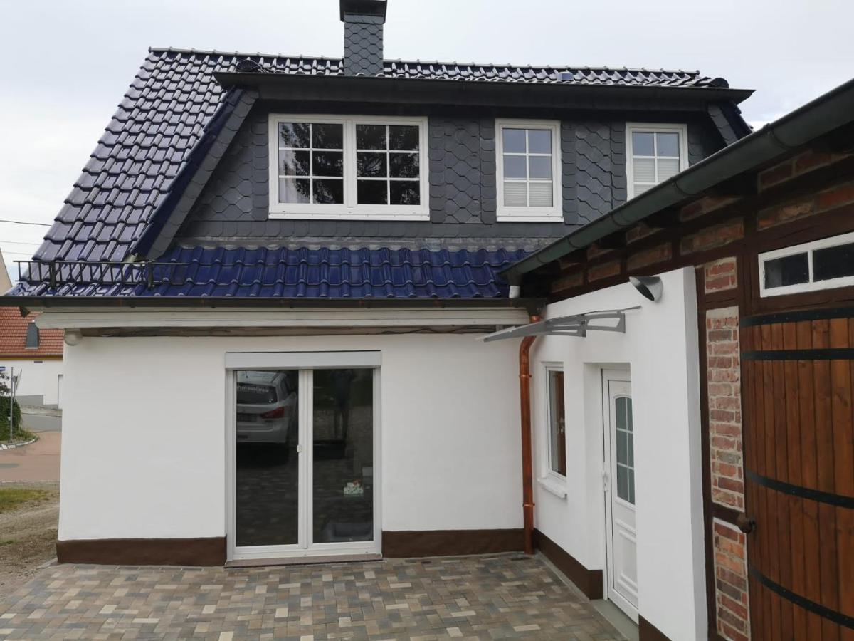 Ferienhaus Blaue Blume Mit 11 Kw Ladestation, Kamin, Terrasse, Eingezaeuntem Garten, Sauna, Wlan, Netflix, 2 Hunde Willkommen! Güntersberge Exterior foto