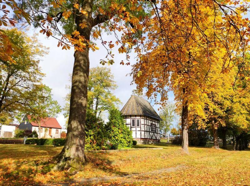 Ferienhaus Blaue Blume Mit 11 Kw Ladestation, Kamin, Terrasse, Eingezaeuntem Garten, Sauna, Wlan, Netflix, 2 Hunde Willkommen! Güntersberge Exterior foto